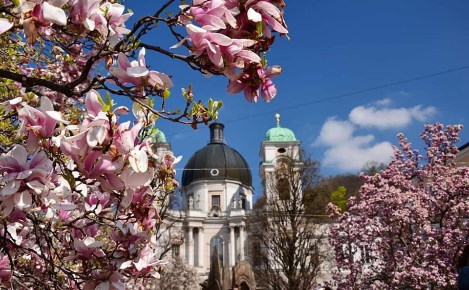 Hotel Vogelweiderhof ซาลซ์บูร์ก ภายนอก รูปภาพ